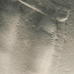 "Gestes brodés II" de Claire Deleurme