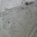 detail of Collectes: Empreintes textiles
