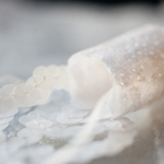 Souffle IV de Claire Deleurme