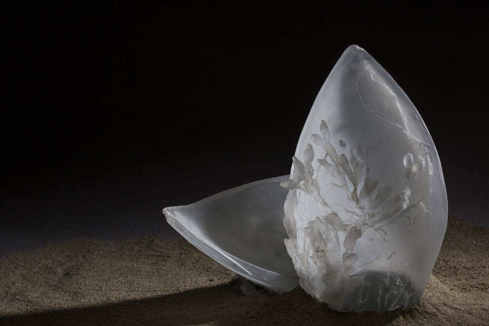 Ce que pansent les vagues de Claire Deleurme